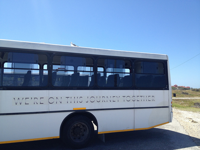 Insensitivity Pages: Public Transportation