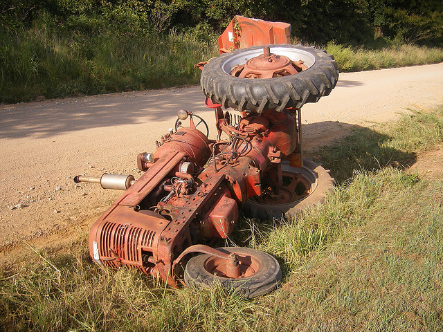 Cow Tipper Goaded by Lactose Intolerance
