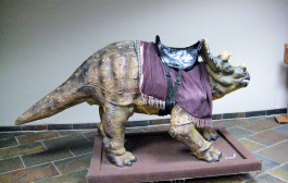 Creationist Denies Evidence of Evidence